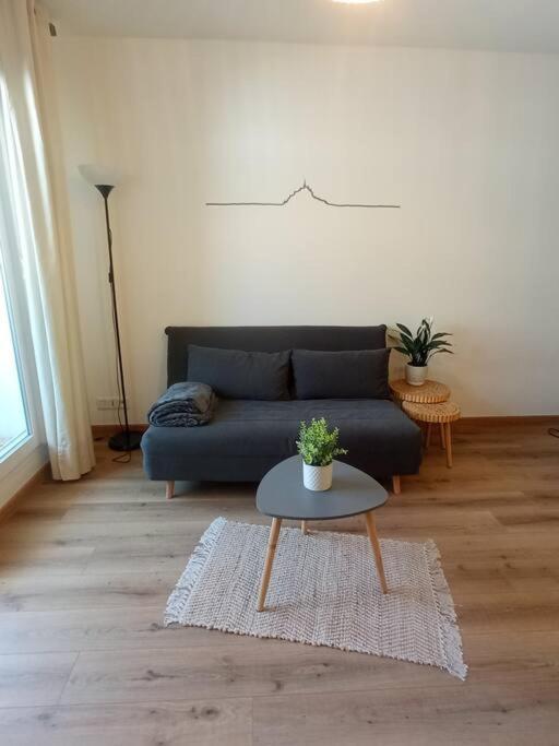 A 50 M De La Plage, De 35 M2 : Les Pieds Sales Apartment